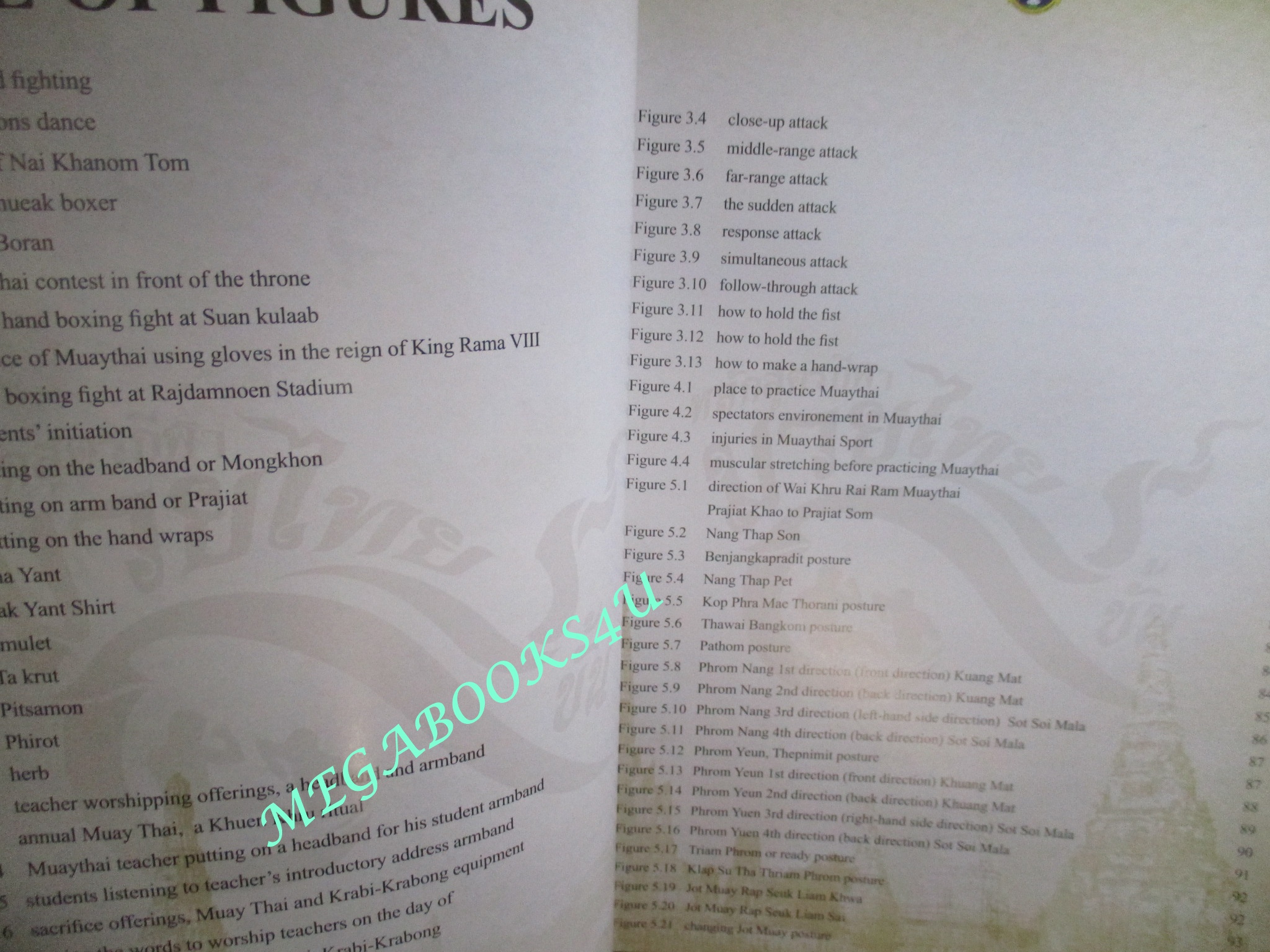 หนังสือ แม่ไม้มวยไทย หลักสูตรมวย 9 ขั้น MUAYTHAI 9 LEVELS