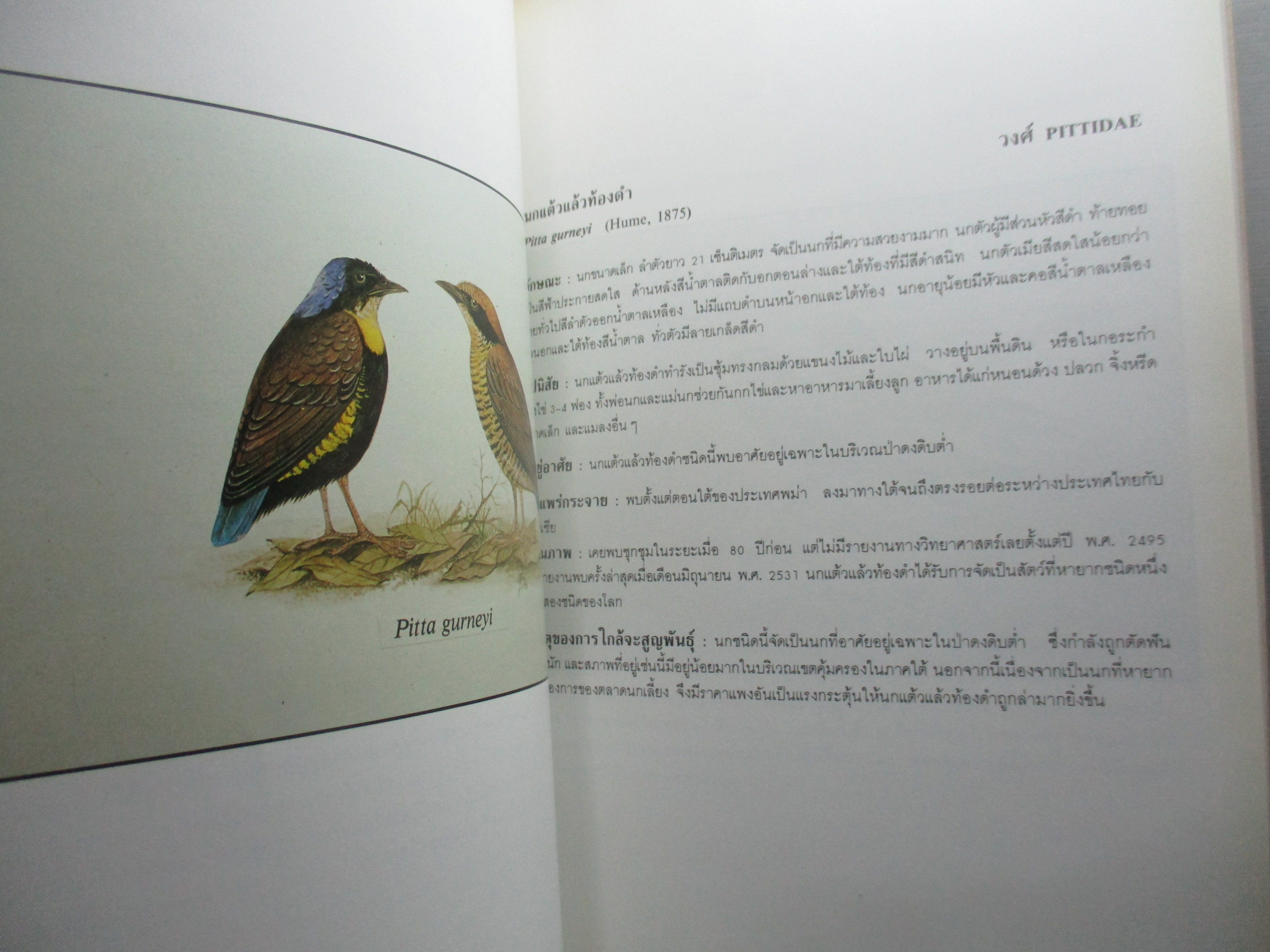หนังสือภาพสี พืชและสัตว์ที่ใกล้จะสูญพันธุ์ในประเทศไทย โดย สถาบันวิจัยวิทยาศาสตร์และเทคโนโลยีแห่งประเทศไทย (มือสอง) (สภาพ85-95%)