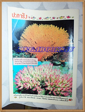 ชัยพฤกษ์การ์ตูน ฉบับที่264 กันยายน 2535 สภาพดี