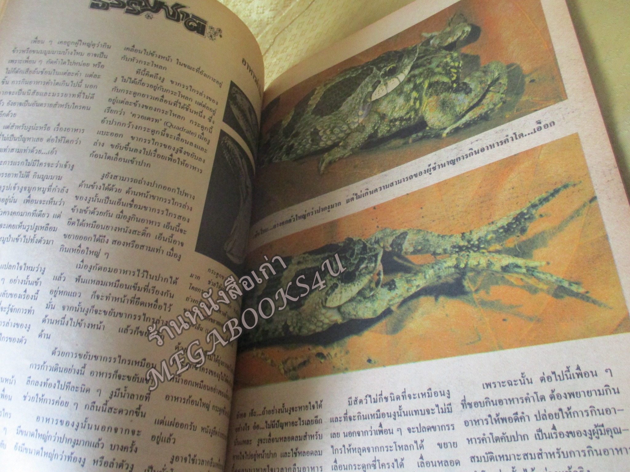 นิตยสารสตรีสาร ปี2525 ฉบับที่26 ปก สุจิตตา ศรีกฤษณารักษ์ ตำหนิ สันปกกระดาษเริ่มกรอบ