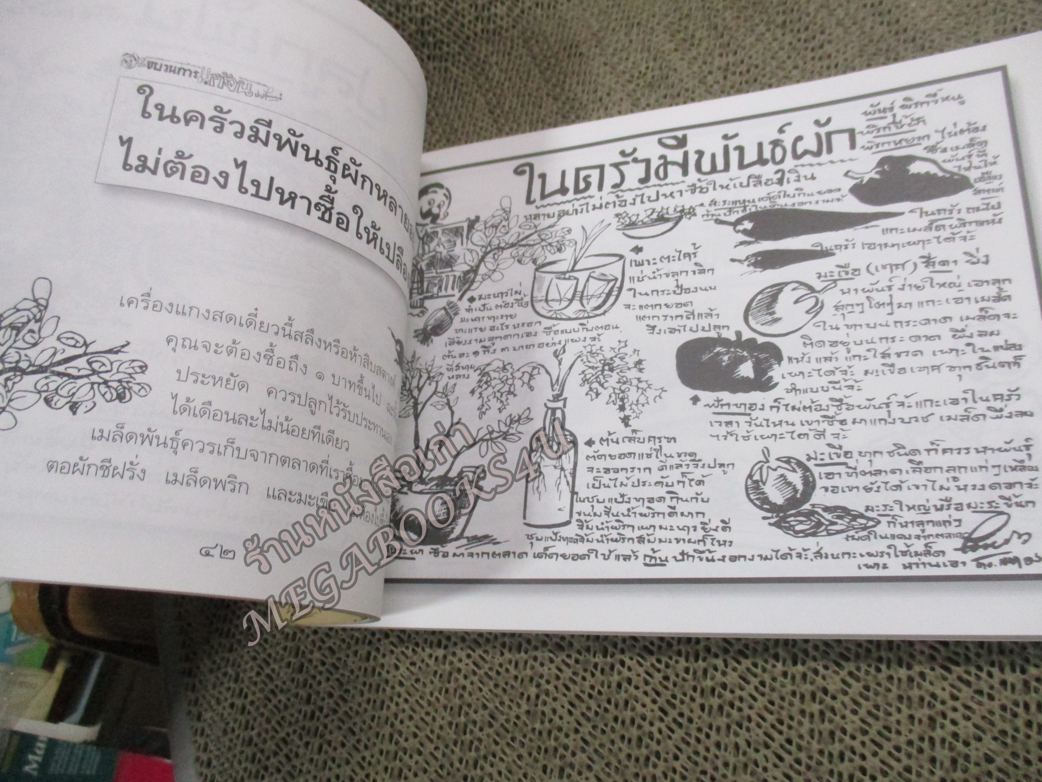 ขบวนการแก้จน เล่ม03 ปลูกต้นไม้แก้จน พิมพ์3 นายศุขเล็ก ประยูร จรรยาวงษ์ (หนังสือบ้าน มือสอง) (สภาพ85-95%)