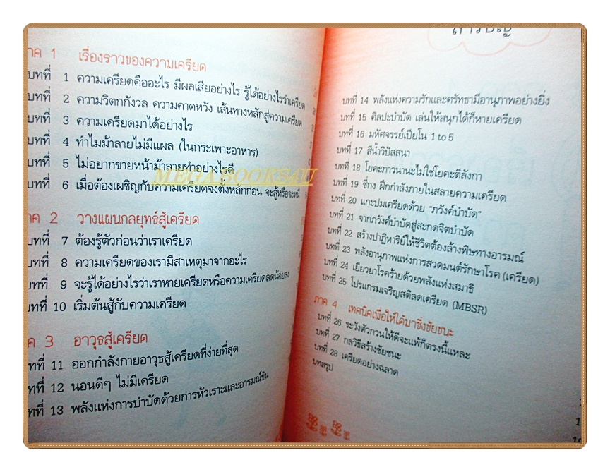 เครียดอย่างฉลาด โดย นายแพทย์วิโรจน์ ตระการวิจิตร