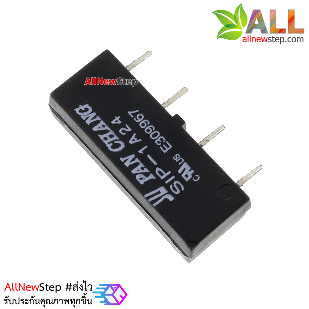 Relay Reed Switch 24V 1A