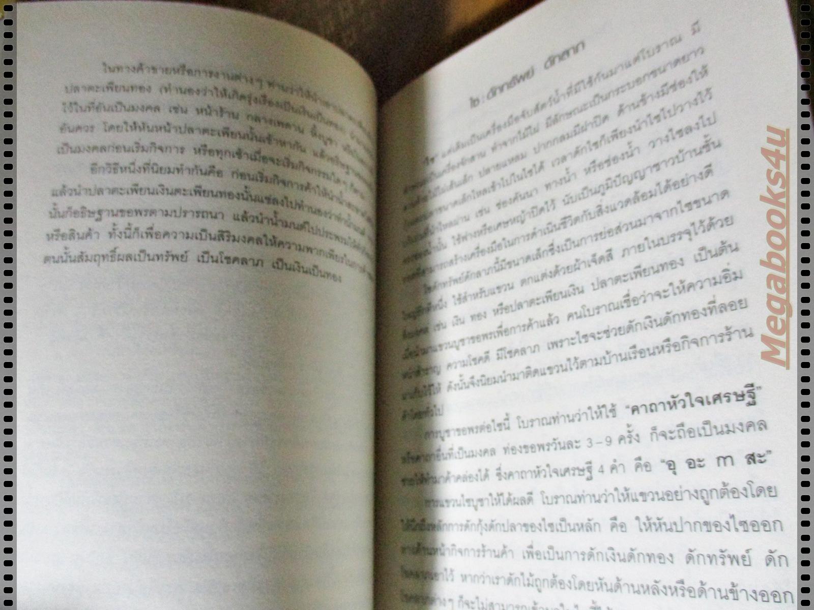 อิทธิปาฏิหาริย์ สิ่งศักดิ์สิทธิ์ เทพไท้เทวา โดย ภัทรรักษ์