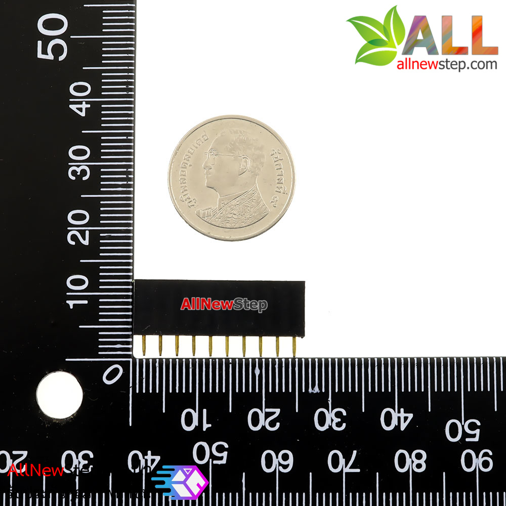 1X10 Pin 10P Single Row Female Header 2.54mm pitch straight จำนวน 1 ชิ้น
