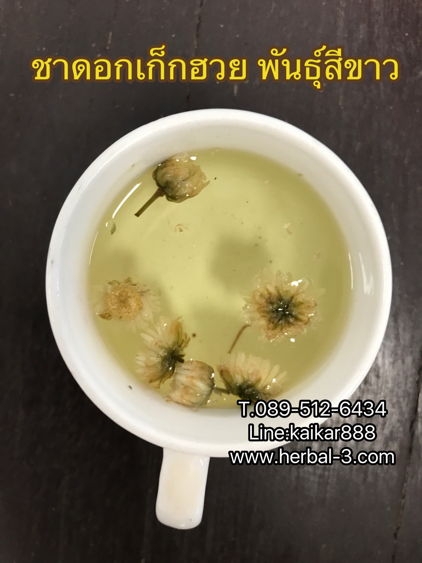 ชาดอกเก๊กฮวย พันธุ์สีขาว (ชนิดดอก)