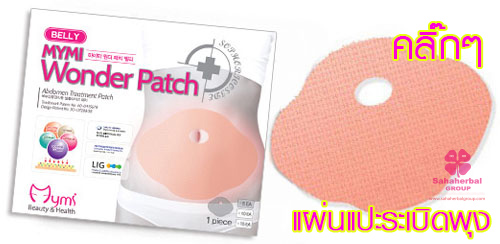แผ่นแปะสลายไขมันสำหรับขา Mymi Wonder Patch Low Body