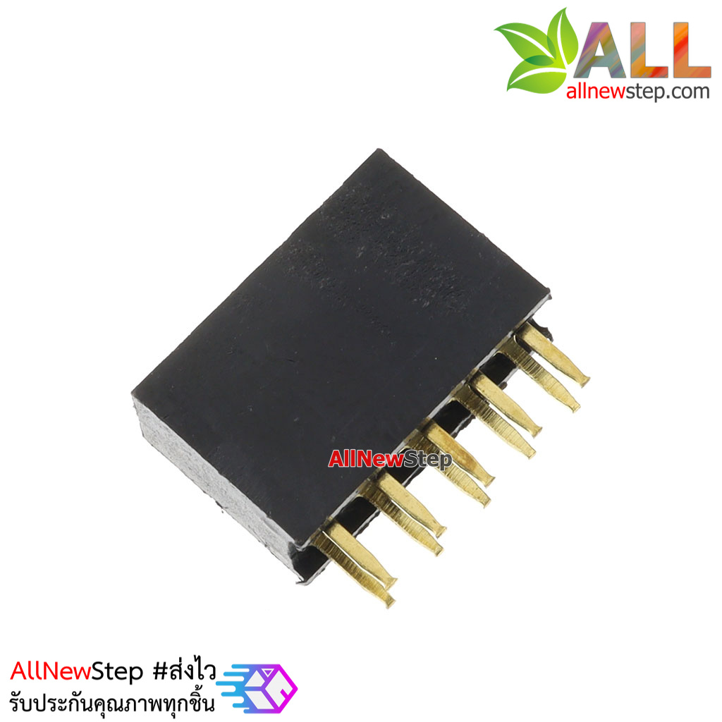 2.54mm pitch female double row female socket 2x5 pin