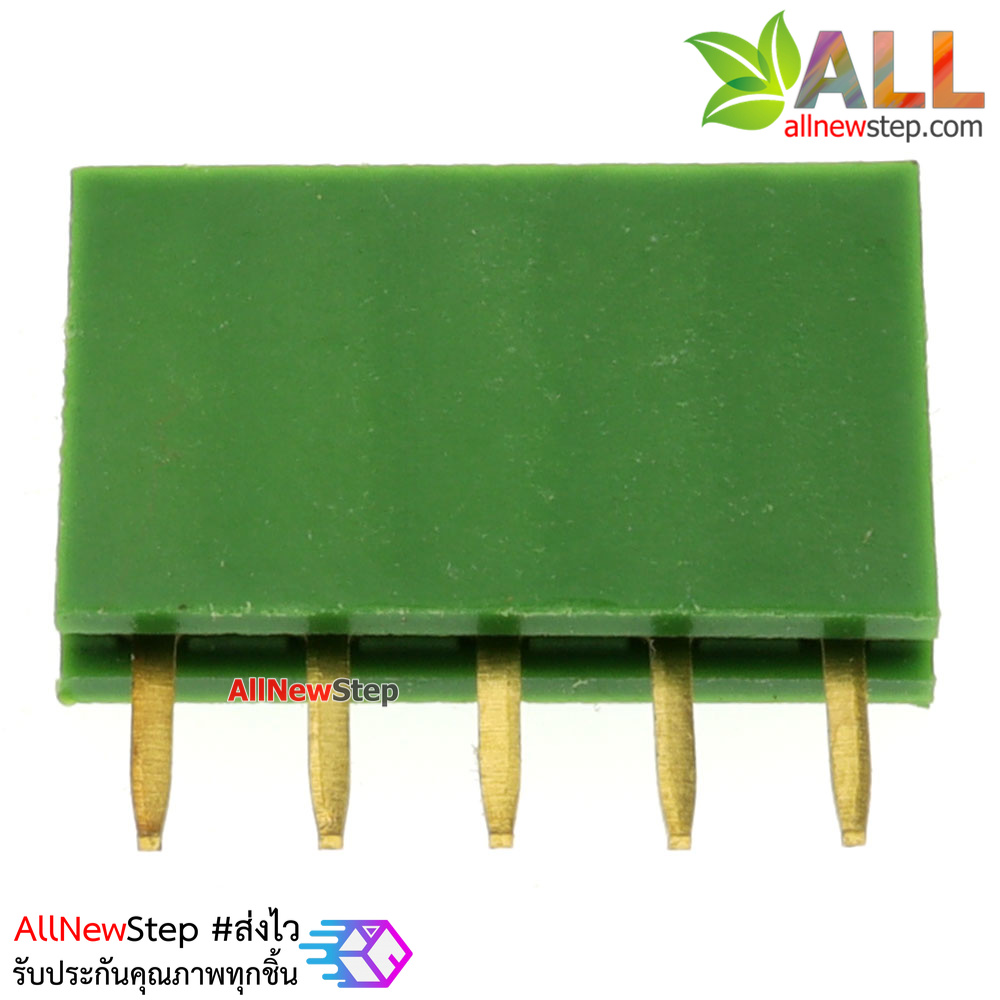 Pin header Female Header Single Row 2.54mm 5p Pin1x5 สีเขียว
