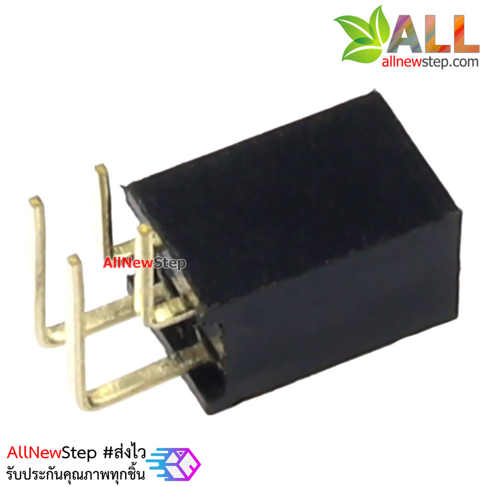 ขาก้างปลาตัวเมียแบบฉาก 2x2 ขา Double Row Hole Jack 2x2 PIN Header 2.54mm