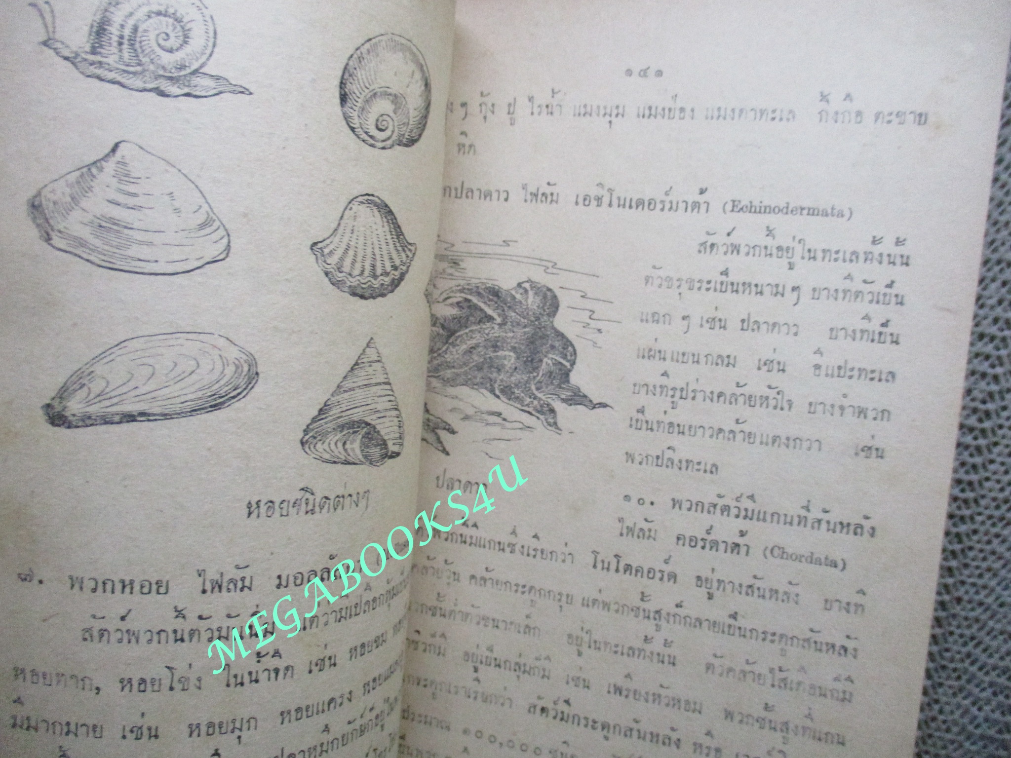 แบบเรียน วิทยาศาสตร์ สำหรับ มัธยมศึกษาปีที่1/กระทรวงศึกษาธิการ / ปี2504