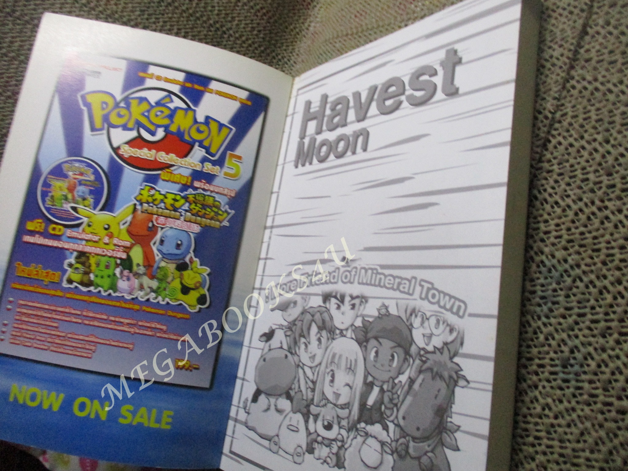 คู่มือเกมส์ HARVEST MOON more friends of mineral town