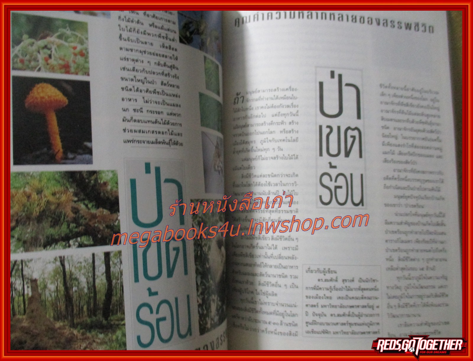 นิตยสารสารคดี ฉบับที่099 พฤษภาคม 2536 ปีที่9 ป่าเขตร้อน,หมอซินเธีย,นกขุนทอง,เที่ยวขอนแก่น,