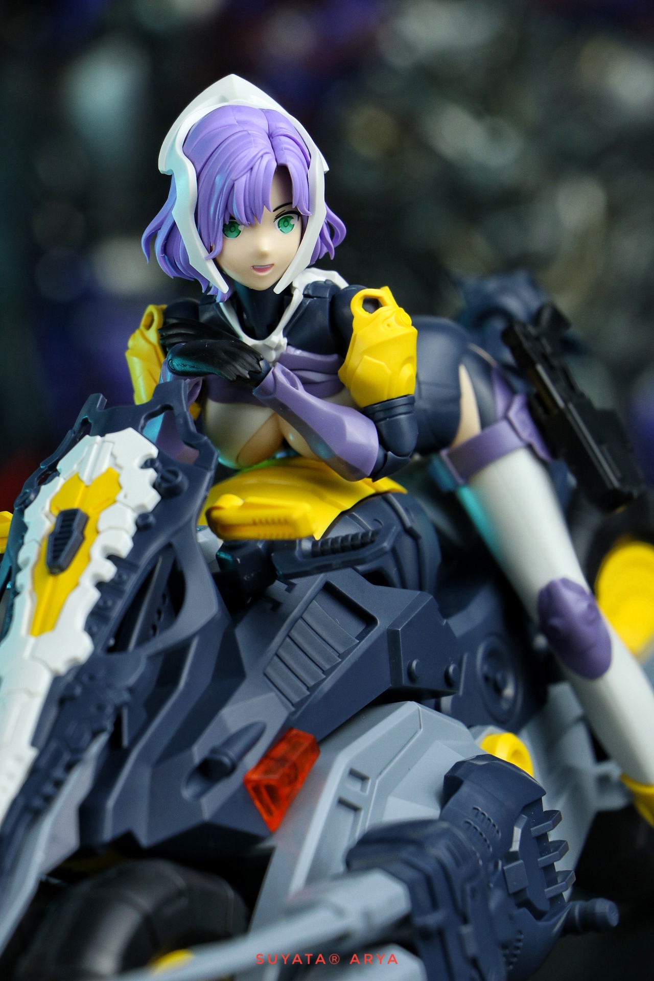 1/12 Arya The HunterS POEM