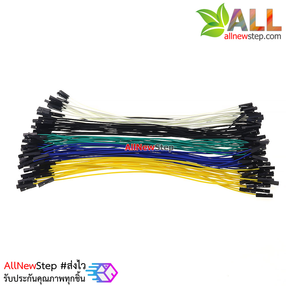 สายไฟ เมีย-เมีย สายไฟจัมเปอร์ 20cm 5 สี อย่างละ 20 เส้น รวม 100 เส้น