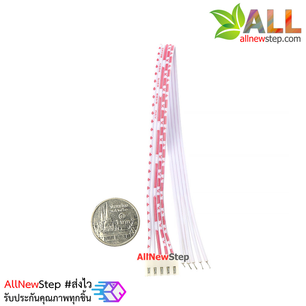 สายแพ 5P ตัวเมีย single head line 20CM ระยะห่าง 2.54mm