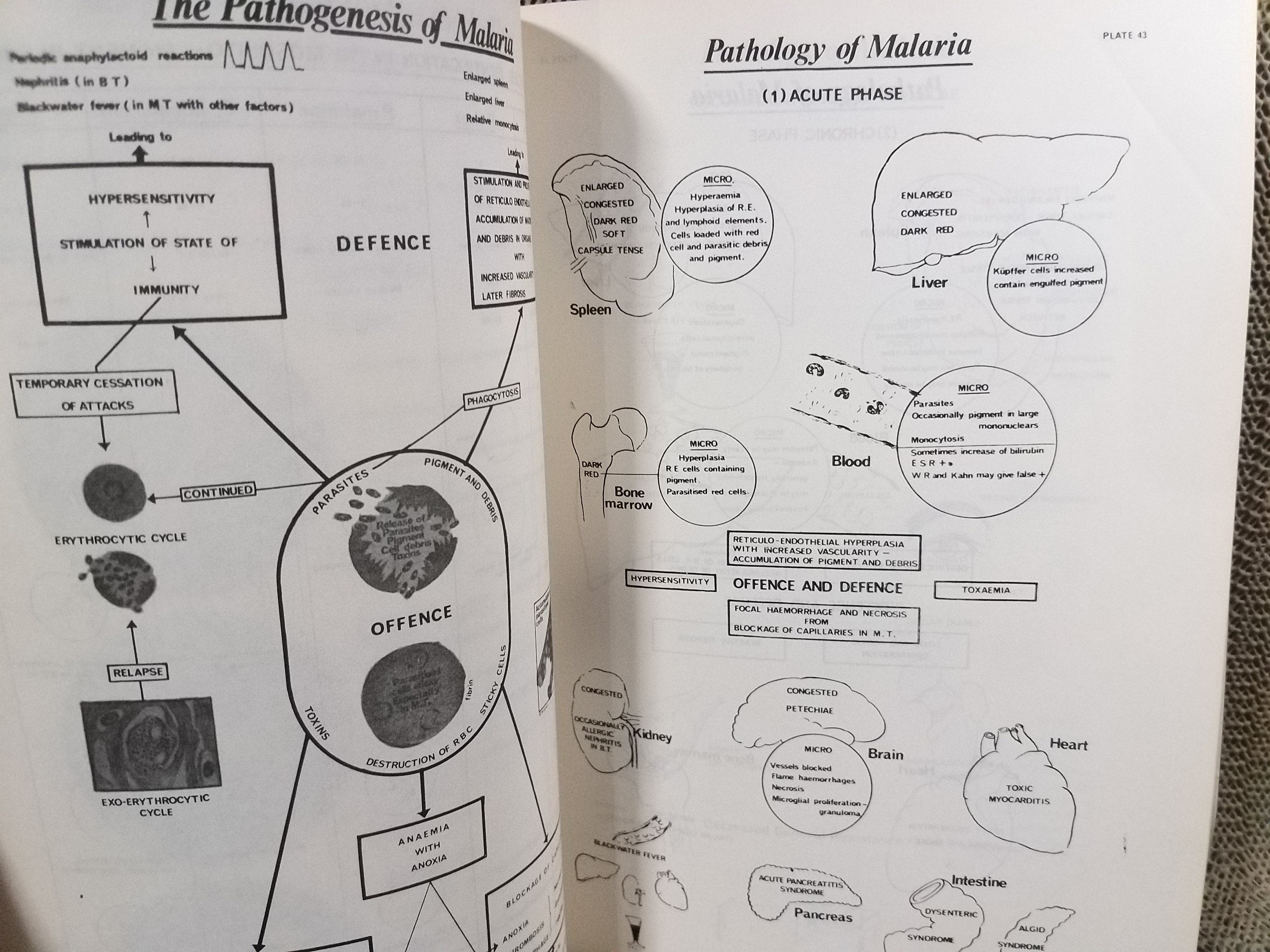 ATLAS OF MEDICAL HELMINTHOLOGY & PROTOZOOLOGY /ตำราแพทย์ ปรสิตหนอนพยาธิทางการแพทย์ โปรโตซัวทางการแพทย์