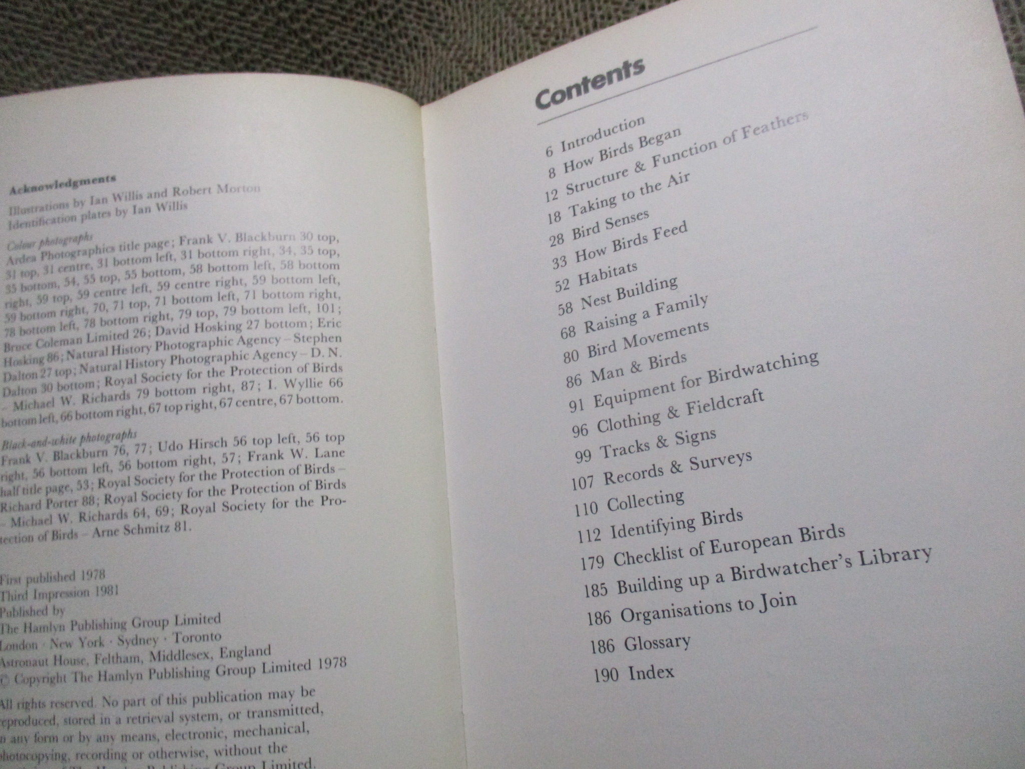 The Young Birdwatcher by Nicholas Hammond (Hardcover) / HAMLYN