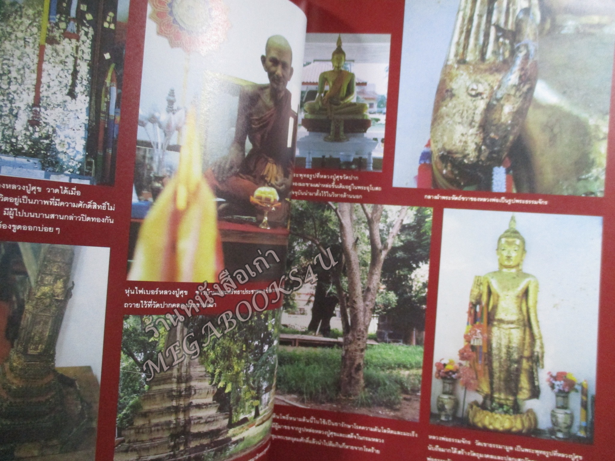 ประวัติ อภินิหาร คาถาอาคม และ พระเครื่อง หลวงปู่ศุข วัดปากคลองมะขามเฒ่า สันปกมีรอยถลอก ริมปกเยินเล็กน้อย