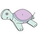 แพทเทิร์นตุ๊กตาเต่า แพทเทิร์นสำหรับงานตัดเย็บ มีเผื่อเย็บให้แล้ว ตัดผ้าเท่าแพทเทิร์นได้เลย