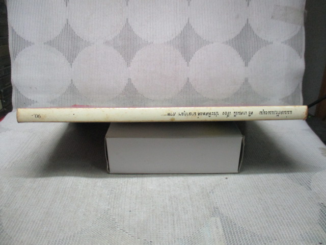 แม่มดกับแมงมุม โดย ศรี เกศมณี