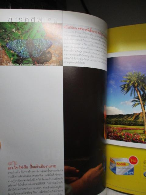 นิตยสารสารคดี ฉบับที่232 ปีที่20 2547 คนเป่าแก้ว,ผีเสื้อที่ทุ่งใหญ่ฯ,ระบบโซตัส,ภาพเขียนก่อนประวัติศาสตร์