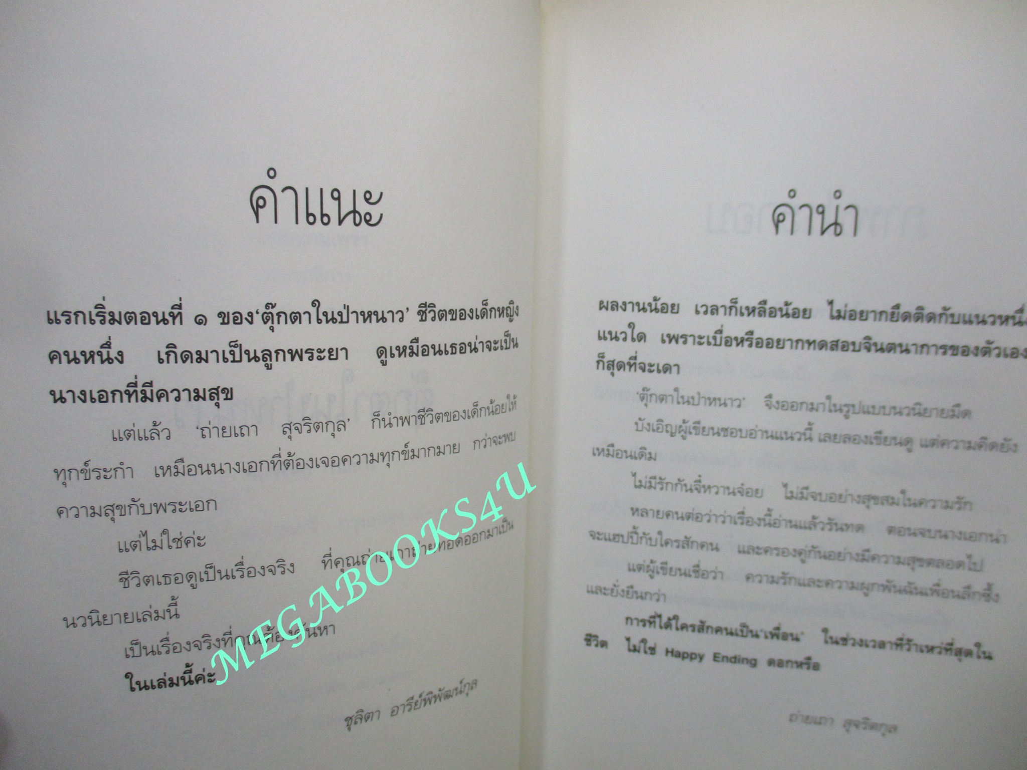 นิยาย ตุ๊กตาในป่าหนาว โดย ถ่ายเถา สุจริตกุล (หนังสือมือสอง) (สภาพ 80-95%)