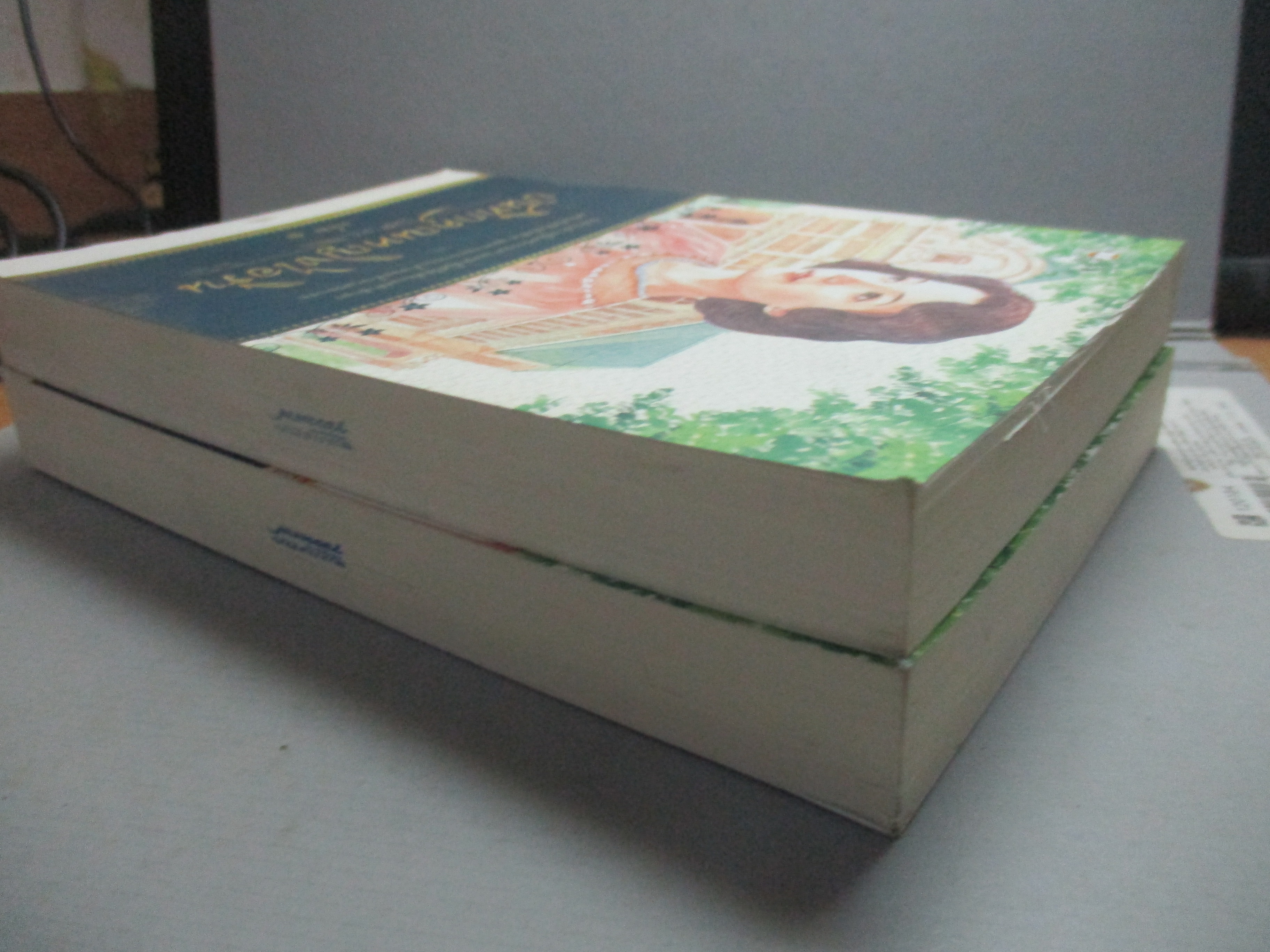 บันทึกคุณหญิงไอรีน ครบชุด 2เล่มจบ โดย โสรยา (มือสอง) (สภาพ85-95%)