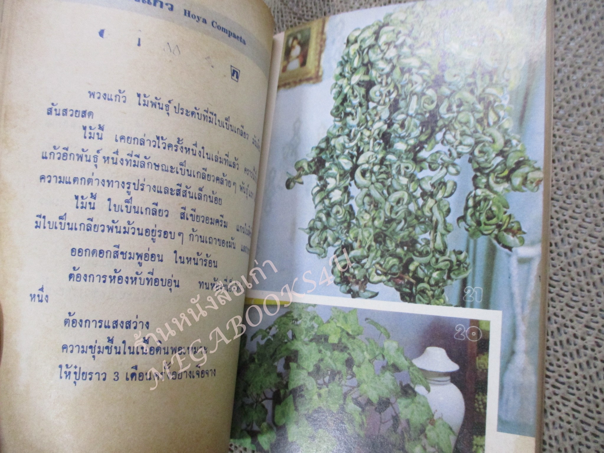 พันธ์ไม้ในบ้าน+พันธ์ไม้รอบบ้าน รวม4เล่ม