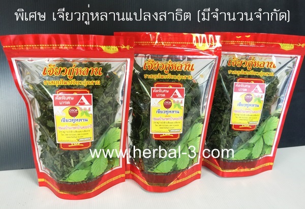 พิเศษเจียวกู่หลาน แท้ 100% คัดพิเศษเกรดA ชนิดพิเศษปลูกในแปลงเกษตร สาธิต ดูแลอย่างดี (ชนิดหอม)