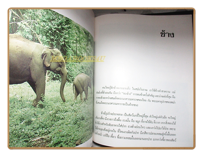 สารานุกรมไทยสำหรับเยาวชน เล่ม03 โดยพระราชประสงค์ในพระบาทสมเด็จพระเจ้าอยู่หัว