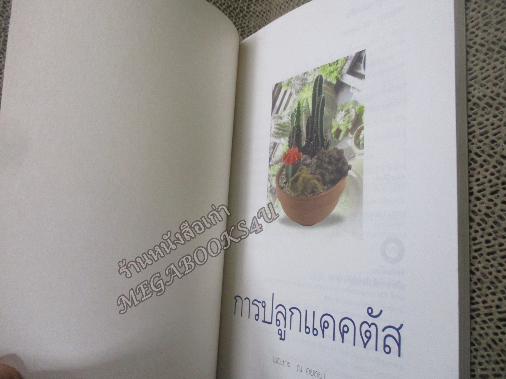 การปลูกแคคตัส พืชไม้สวย รวยได้ง่าย / พฤษภะ ณ อยุธยา