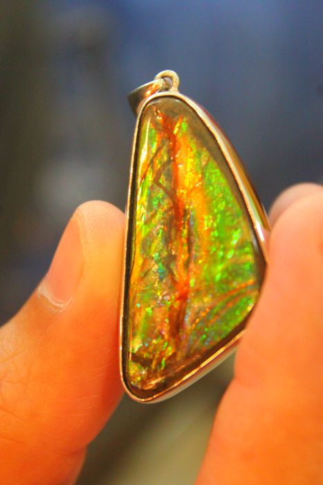 แอมโมไนต์โอปอล ( Ammonite Opal )