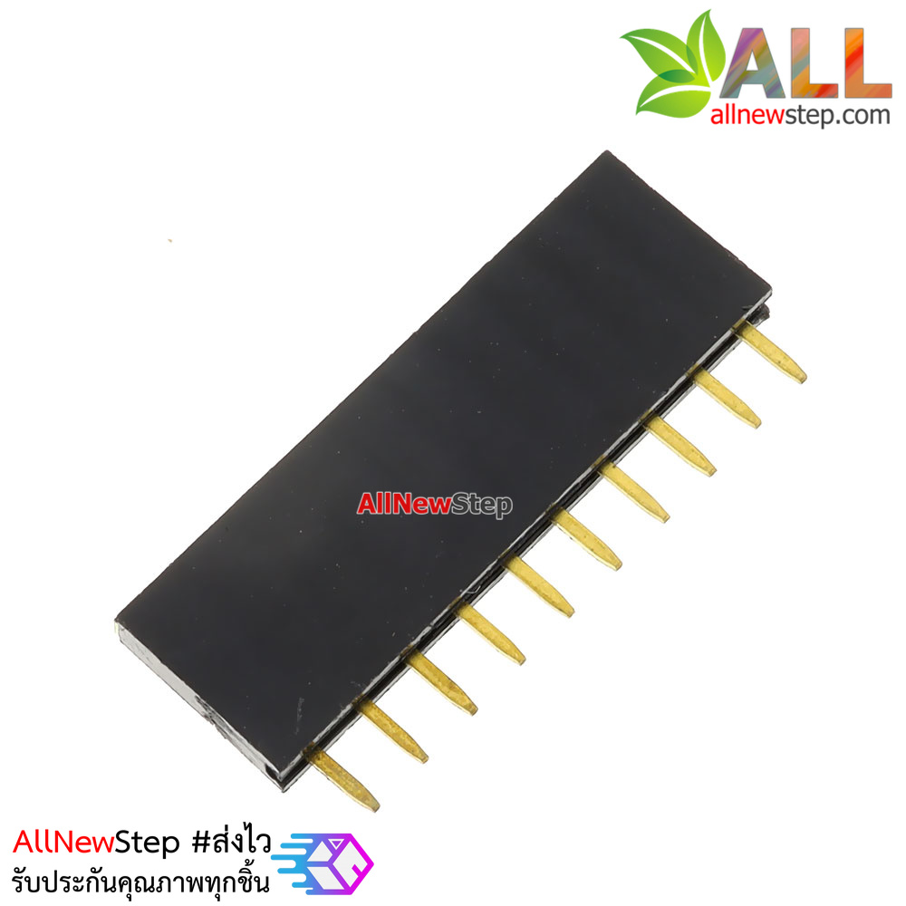 1X10 Pin 10P Single Row Female Header 2.54mm pitch straight จำนวน 1 ชิ้น