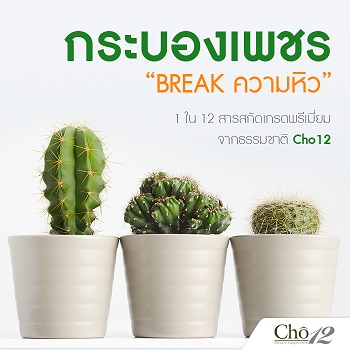 Cho12 โช ทเวลฟ์ by เนย โชติกา