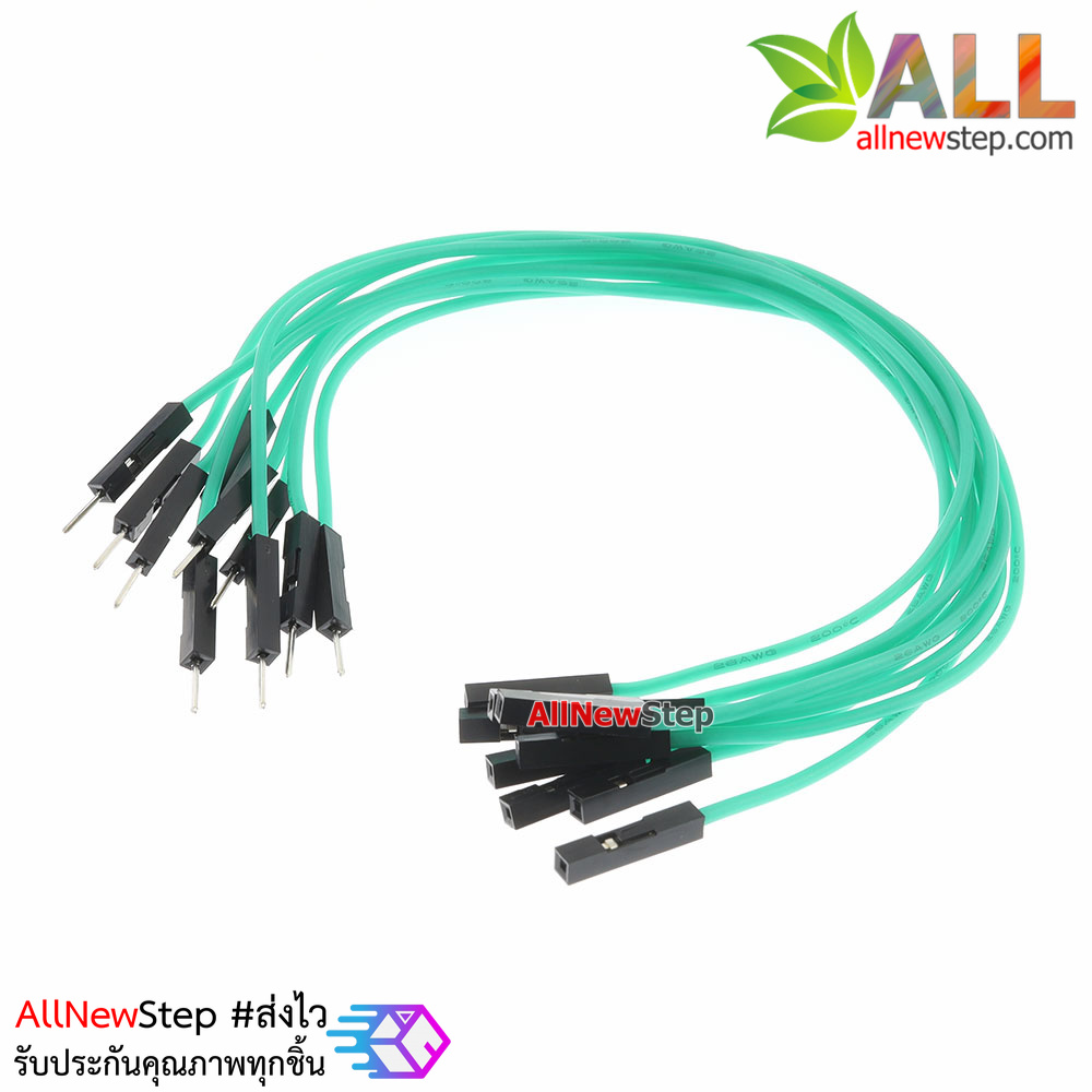 สายไฟจัมเปอร์ 20cm สาย jumper 20 cm จำนวน 10 เส้น ผู้-เมีย สีเขียว