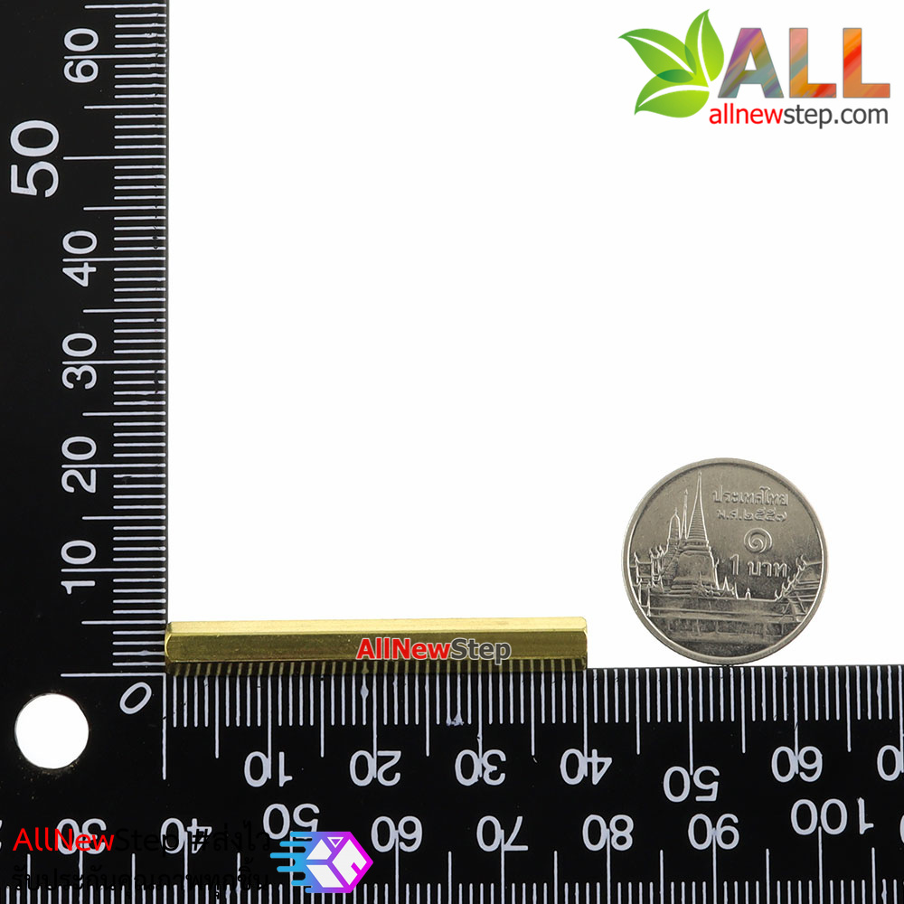 Pillars Nut M3 น็อตตัวเมีย ทองเหลืองแบบยาว 40mm