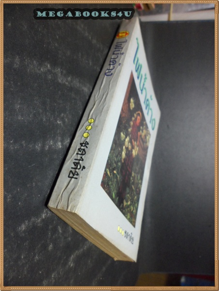 ไฟน้ำค้าง โดย ชลาลัย สภาพดี