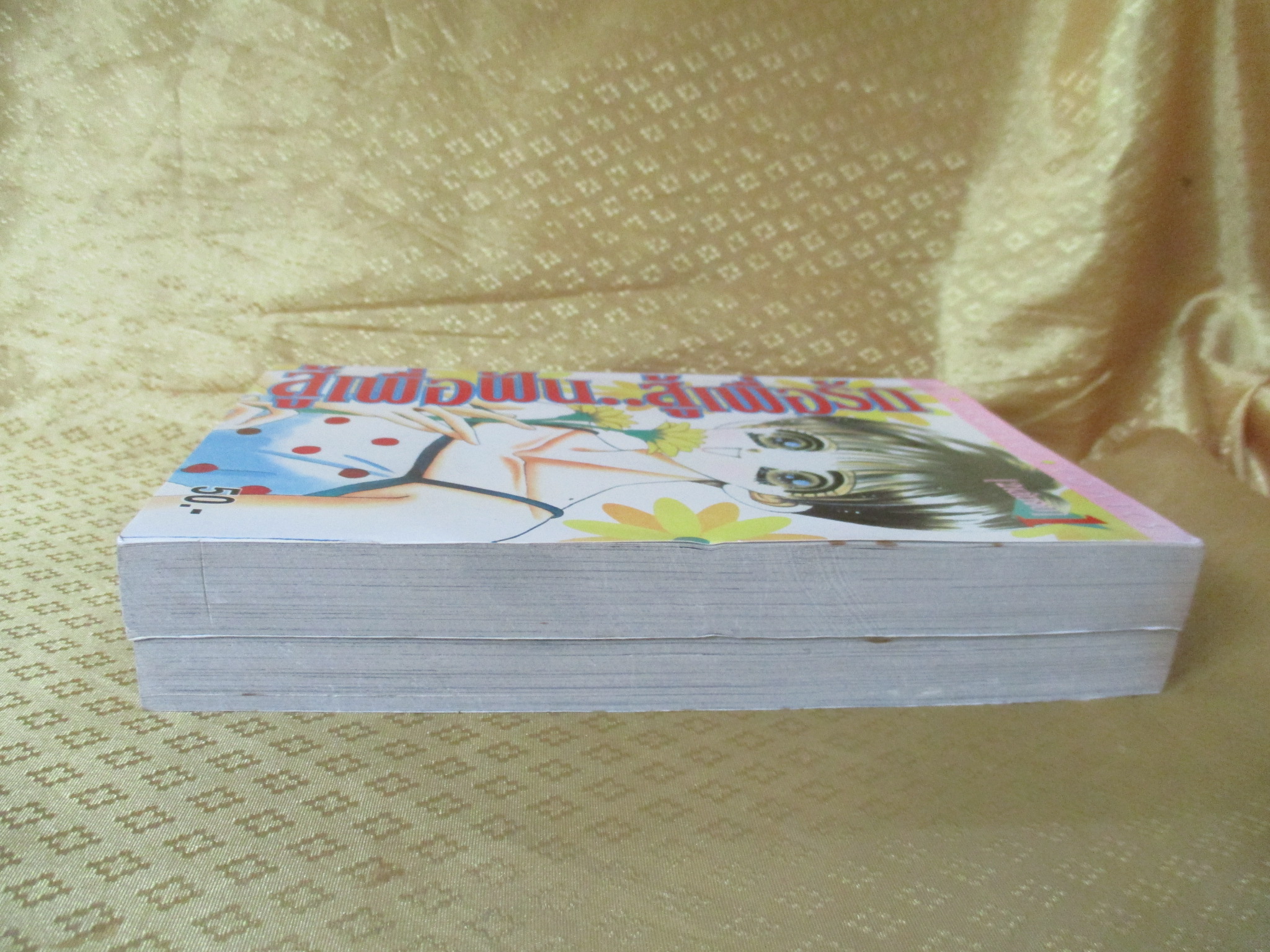 การ์ตูนบ้าน สู้เพื่อฝัน สู้เพื่อรัก ครบชุด2เล่มจบ โดย xxx สนพ.NEW PROJECT