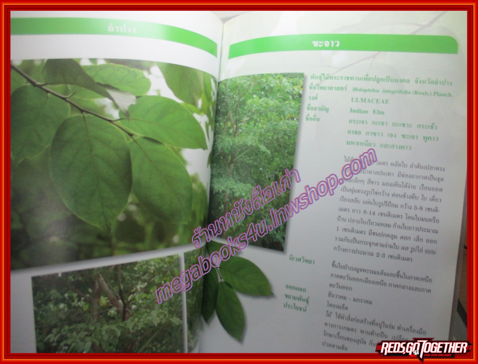 ต้นไม้มงคลพระราชทานประจำจังหวัด 72พรรษา พฤกษามหาราชินี ปี2547