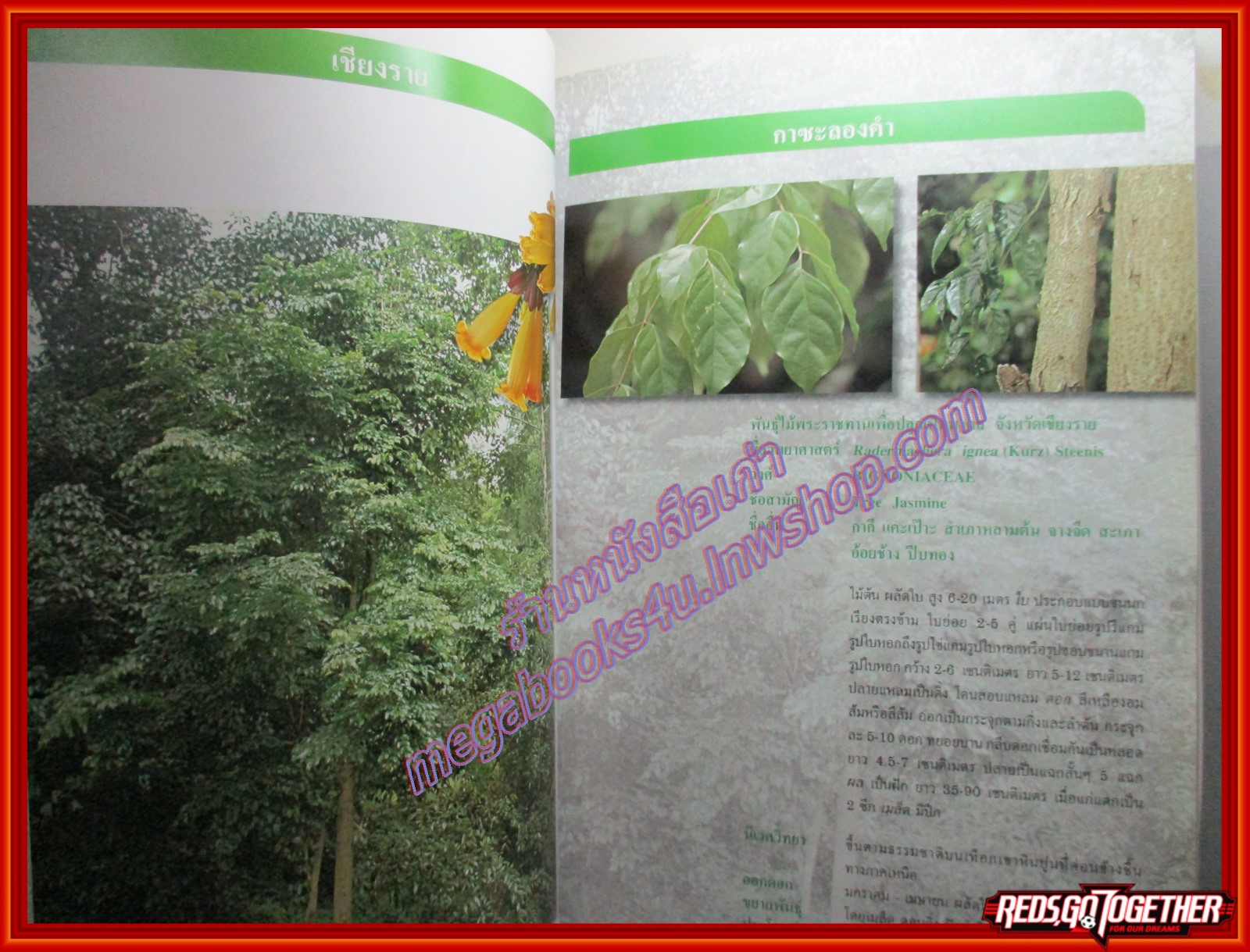 ต้นไม้มงคลพระราชทานประจำจังหวัด 72พรรษา พฤกษามหาราชินี ปี2547