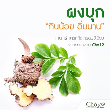 Cho12 โช ทเวลฟ์ by เนย โชติกา