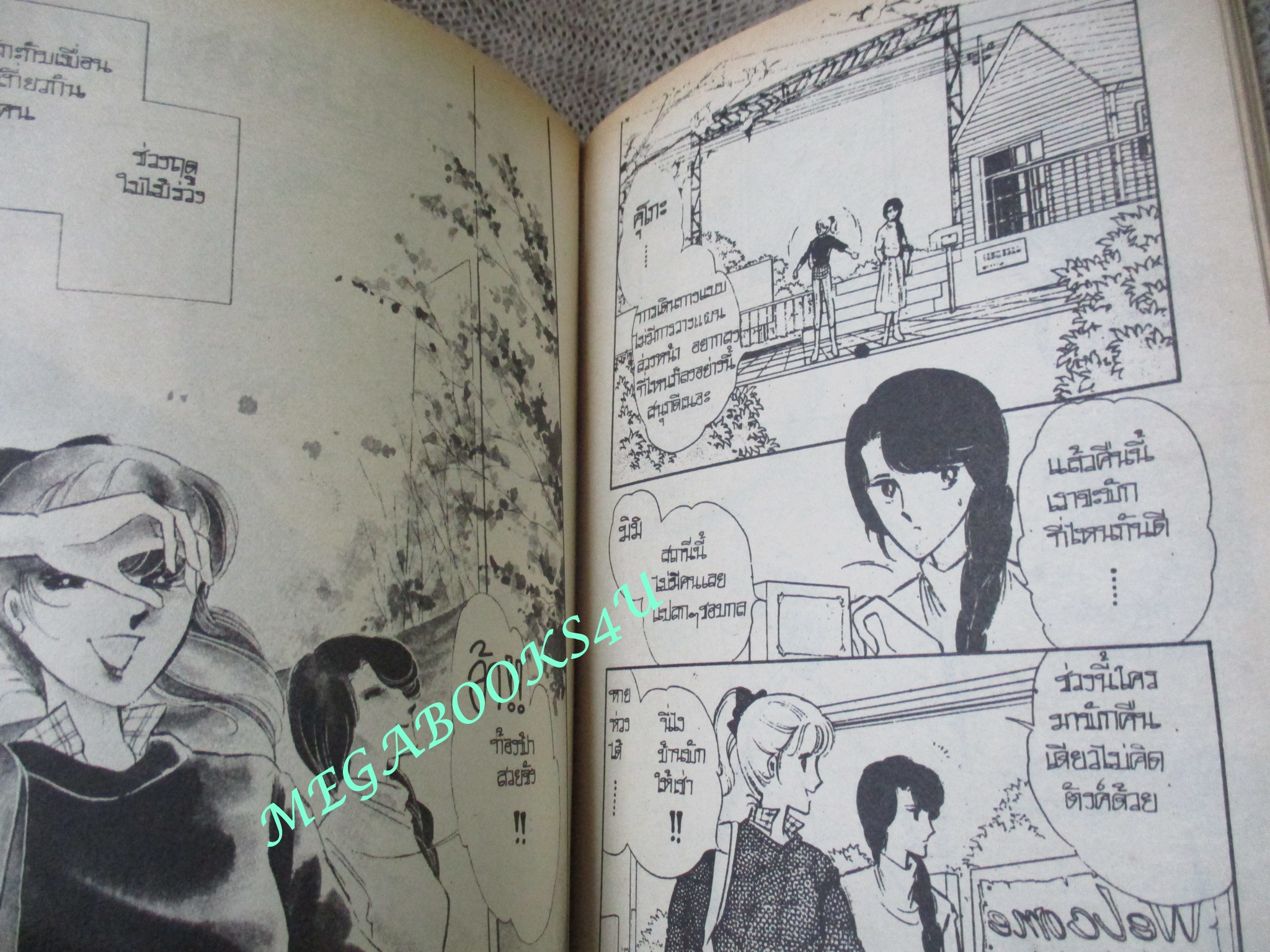 การ์ตูนบ้าน ทะเลสาบสีหมอก / เล่มเดียวจบ / วิบูลย์กิจ /