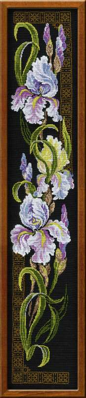 Riolis Irises