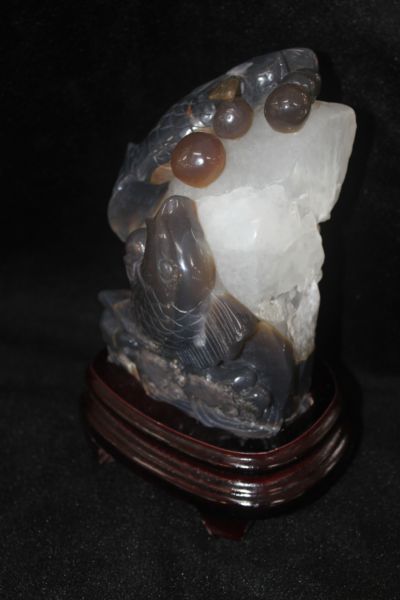 ปลาหลี่ฮื้อ