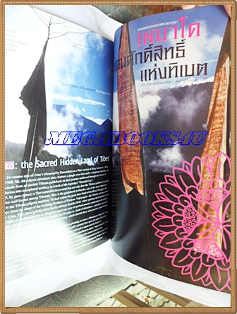 นิตยสารสารคดี ฉบับที่238 เพมาโค ตามรอยเพชรพระอุมา,หมอรักษาพิษงู,ฝูงนากแห่งทะเลใน,ตุ๊กตาศิลาจีน,