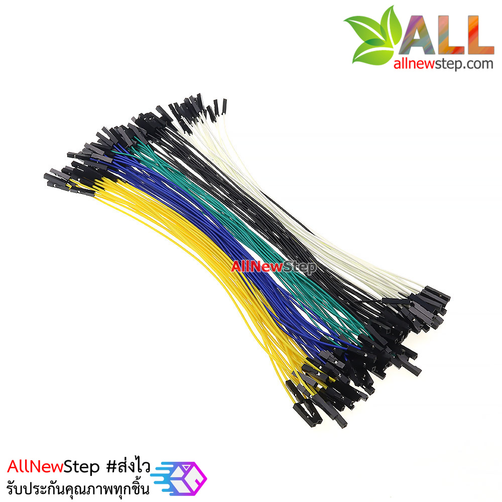 สายไฟ เมีย-เมีย สายไฟจัมเปอร์ 20cm 5 สี อย่างละ 20 เส้น รวม 100 เส้น