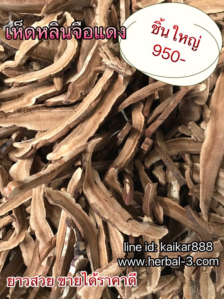 เห็ดหลินจือแดง คัดพิเศษเกรดA (ชิ้นบาง+หั่นยาว)