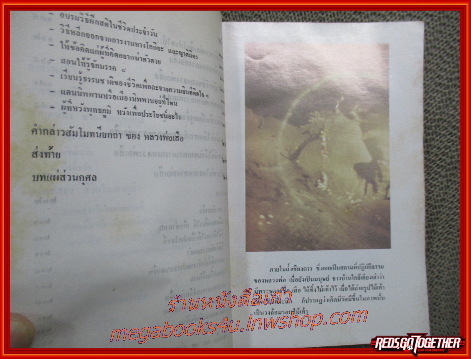 ประวัติหลวงพ่อเสือ (พระวิรุณหผล) / มาลี สร้อยพิสุทธิ์ , วนิดา สร้อยพิสุทธิ์
