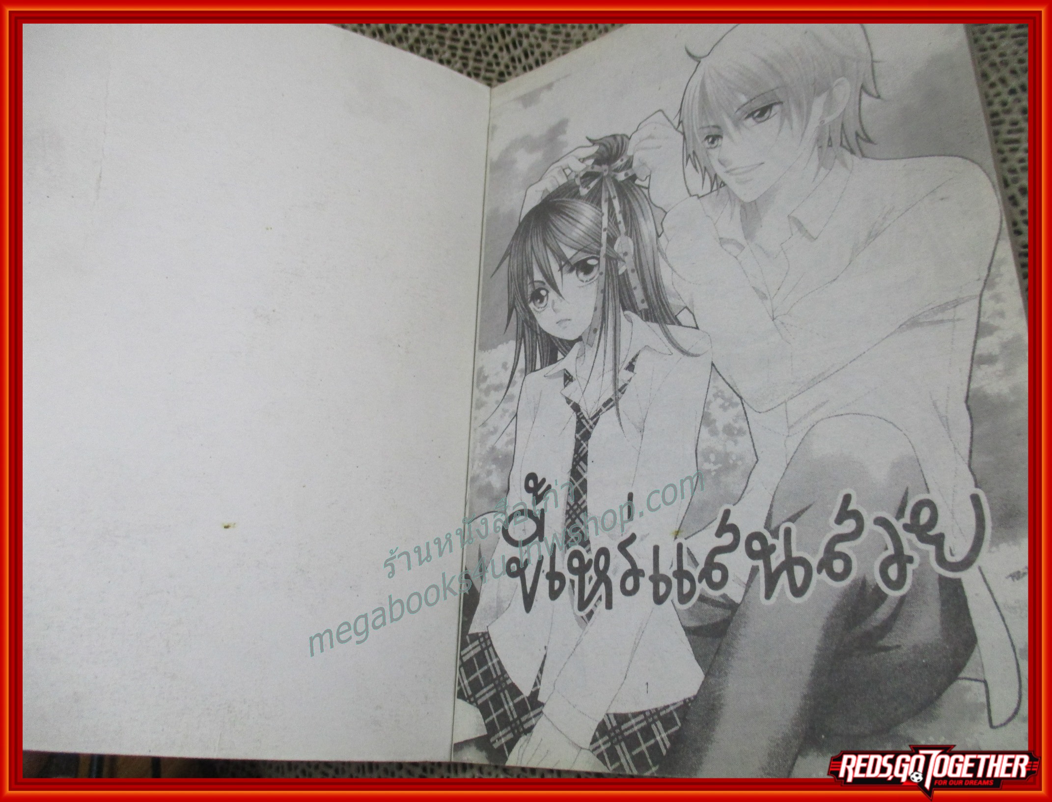 ขี้เหร่แสนสวย เล่มเดียวจบ สนพ.หมึกจีน